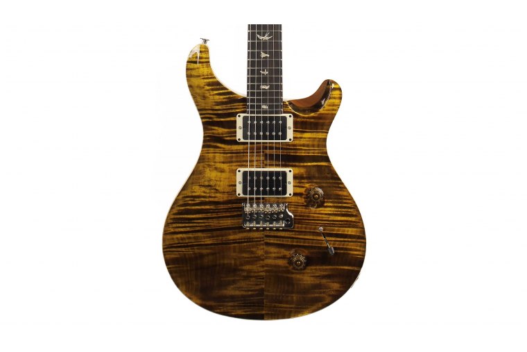 Paul Reed Smith Custom 24 - YTG