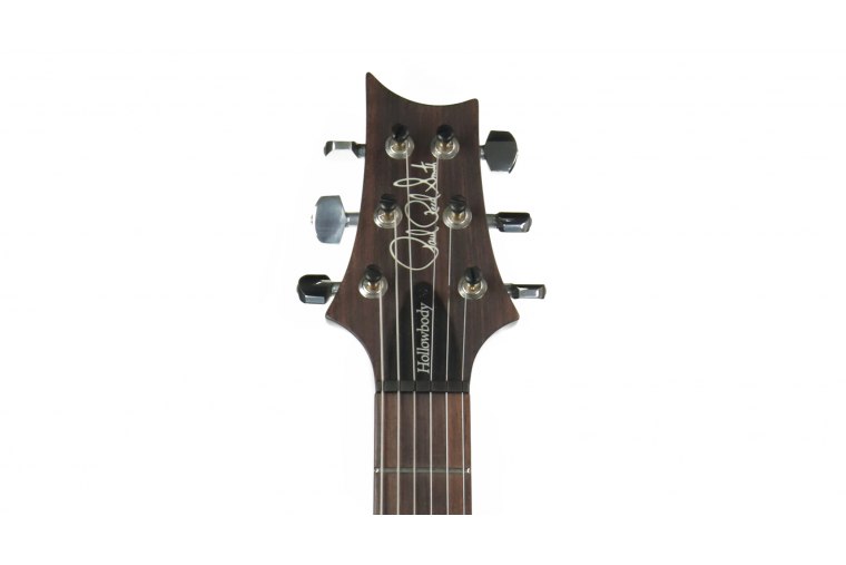 Paul Reed Smith Hollowbody II - CHB