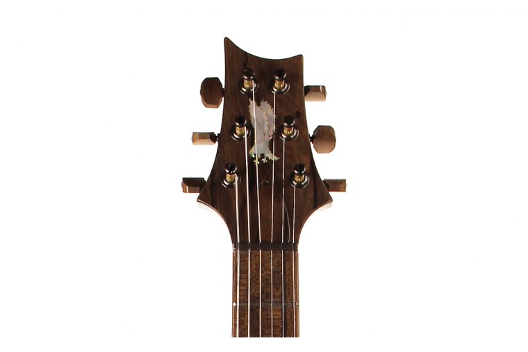 Paul Reed Smith Private Stock Special Semi-Hollow Limited Edition