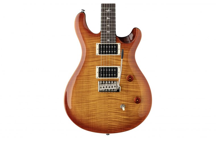 Paul Reed Smith SE CE 24 - VS