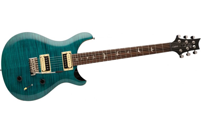 Paul Reed Smith SE Custom 22 - SA