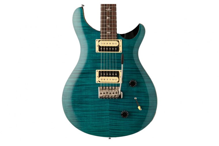 Paul Reed Smith SE Custom 22 - SA