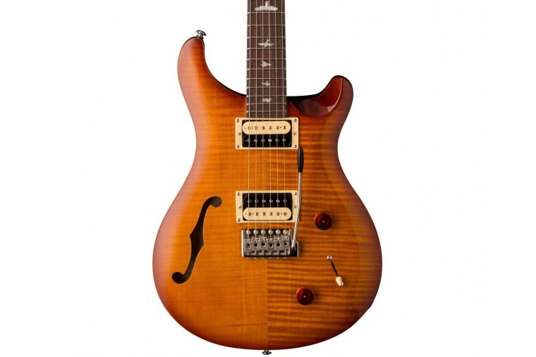 Paul Reed Smith SE Custom 22 Semi Hollow - VS