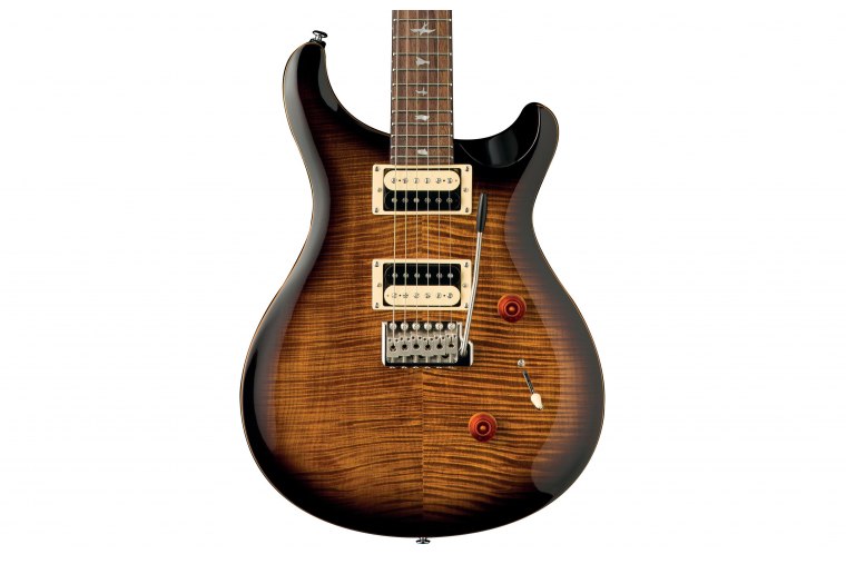 Paul Reed Smith SE Custom 24 - BG