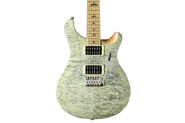 Paul Reed Smith SE Custom 24 Roasted Maple Neck Limited - TG