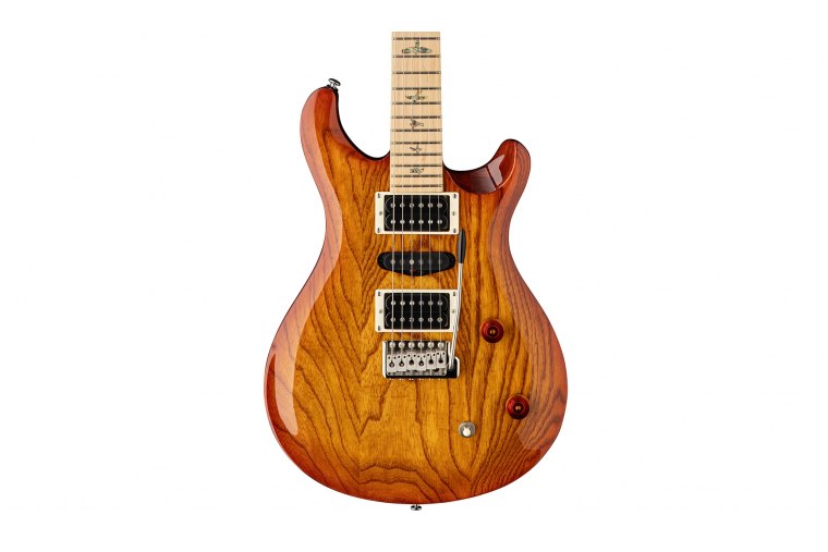 Paul Reed Smith SE Swamp Ash Special - VS