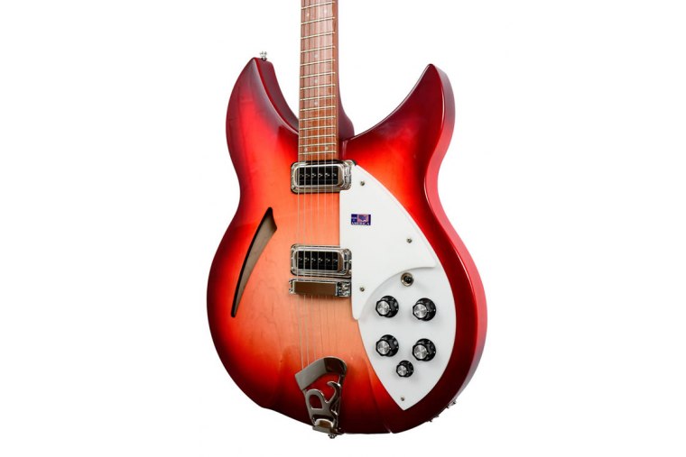 Rickenbacker 330 - FG