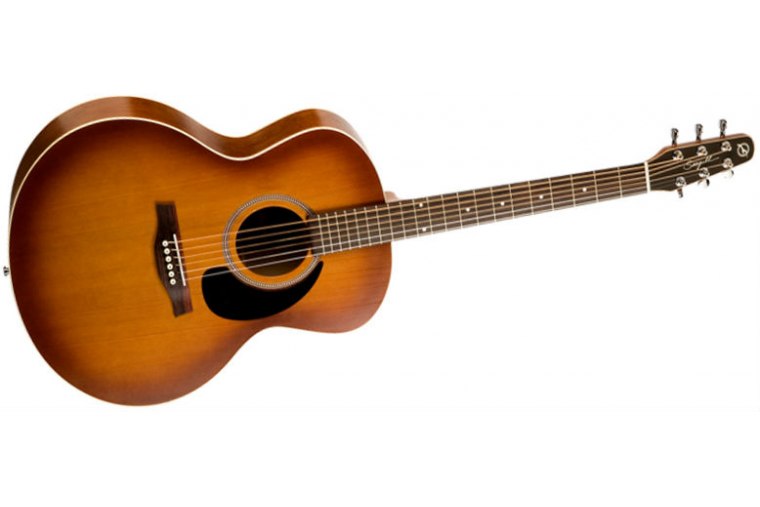 Seagull Entourage Mini Jumbo Rustic QI