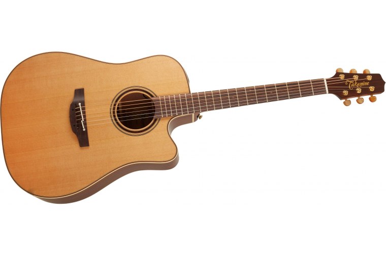 Takamine P3DC