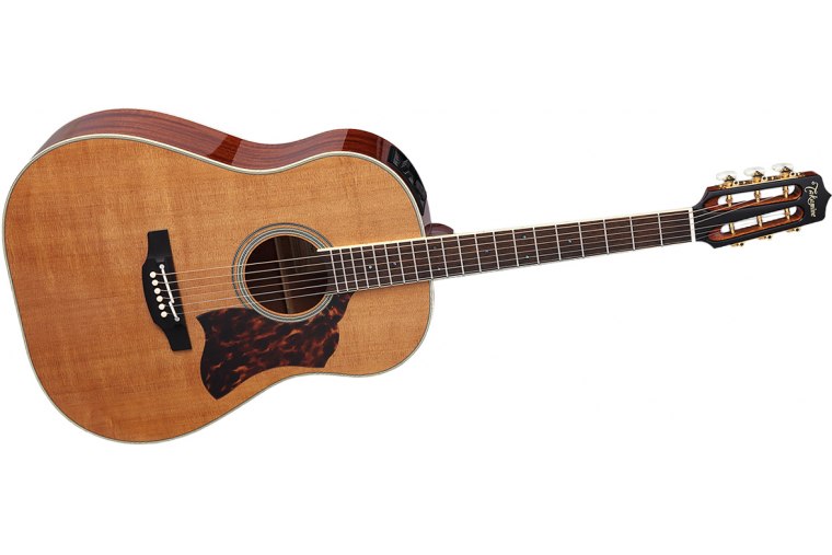 Takamine CRN-TS1 Thermal Top