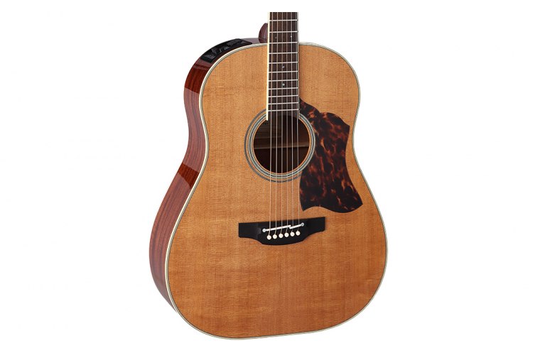 Takamine CRN-TS1 Thermal Top