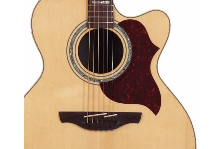 Takamine EG523SC
