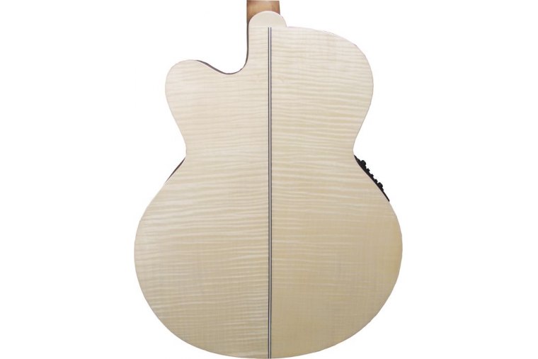 Takamine EG523SC