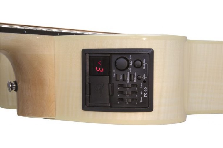 Takamine EG523SC