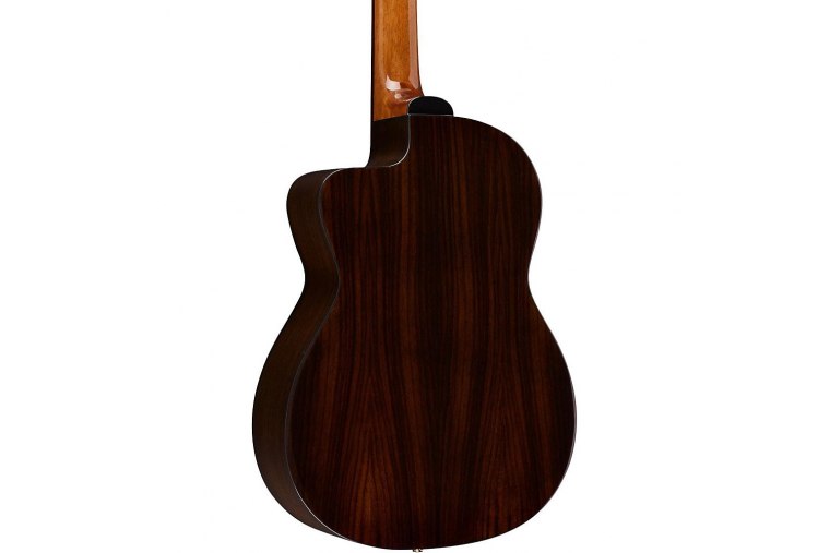 Takamine GC5CE - NA