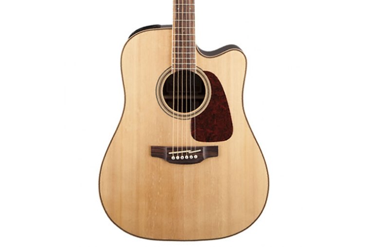 Takamine GD93CE - NAT