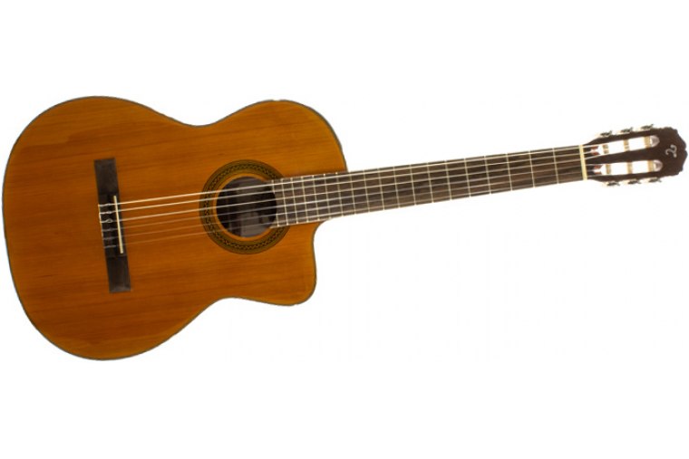 Takamine GSC1CE - NG