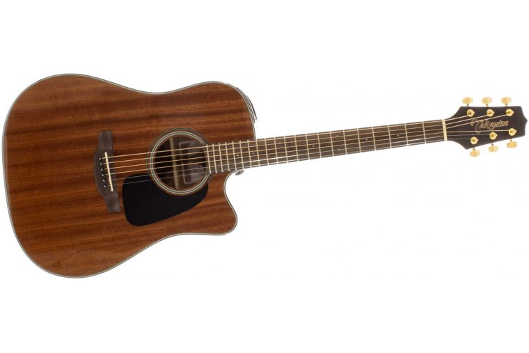 Takamine GSD11MCE - NG