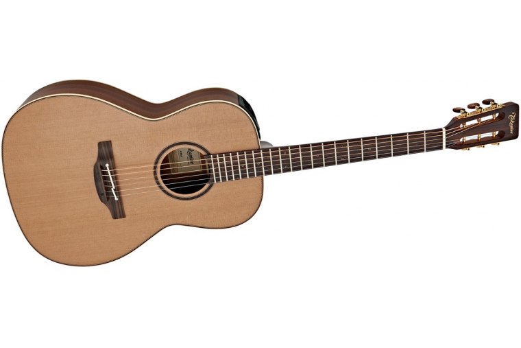 Takamine P3NY