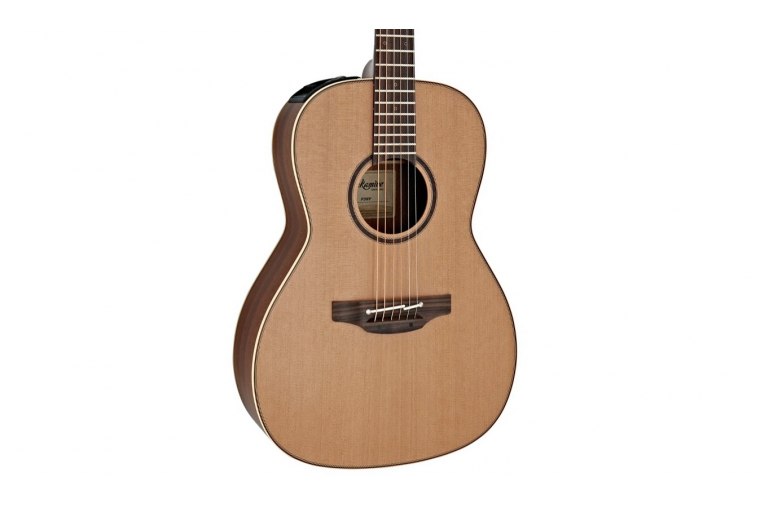 Takamine P3NY