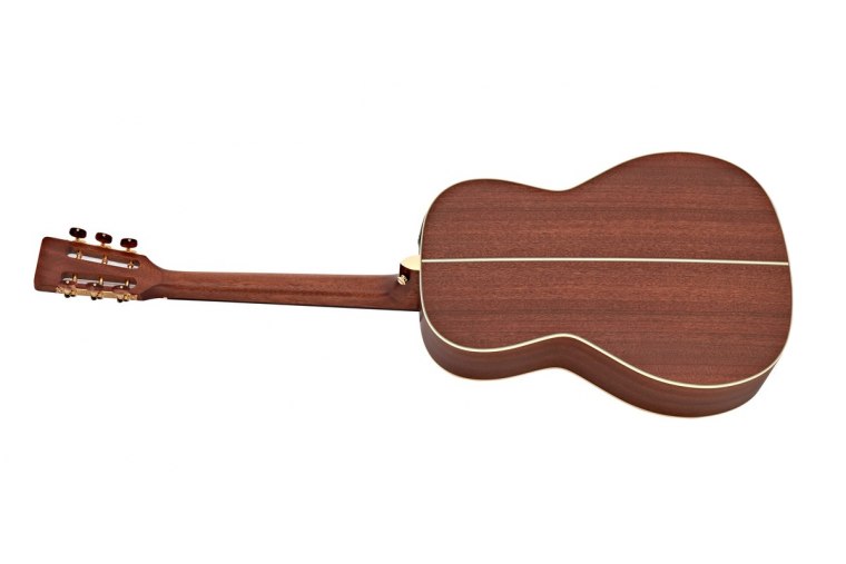 Takamine P3NY