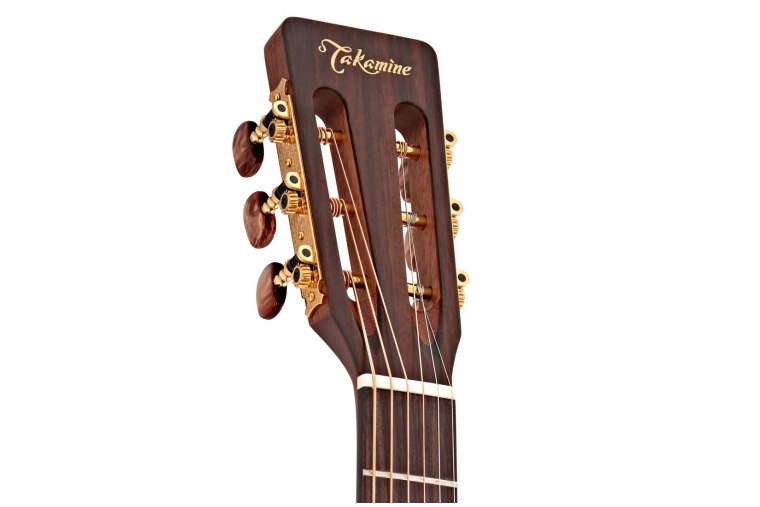 Takamine P3NY