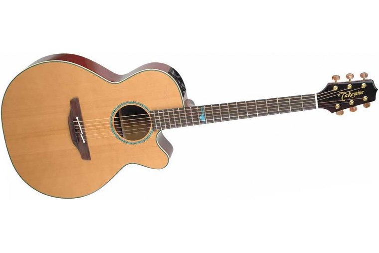 Takamine TSF40C Legacy Series Santa Fe