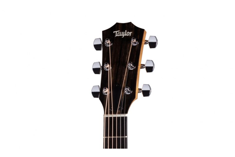 Taylor 110ce