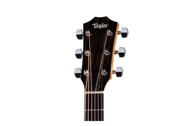 Taylor 110ce-S Sapele