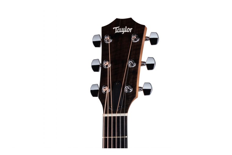 Taylor 117e