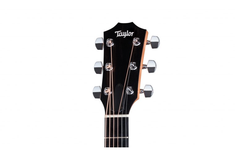 Taylor 210ce