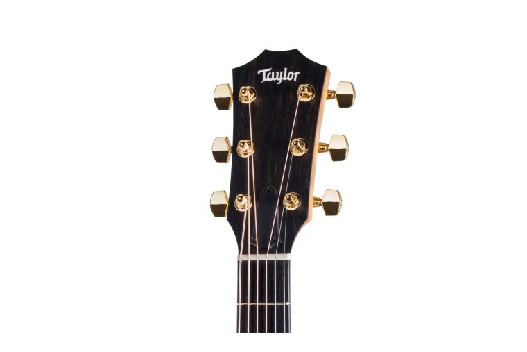 Taylor 222ce-K Deluxe