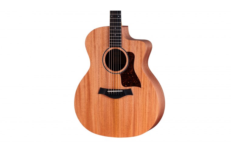 Taylor 24ce