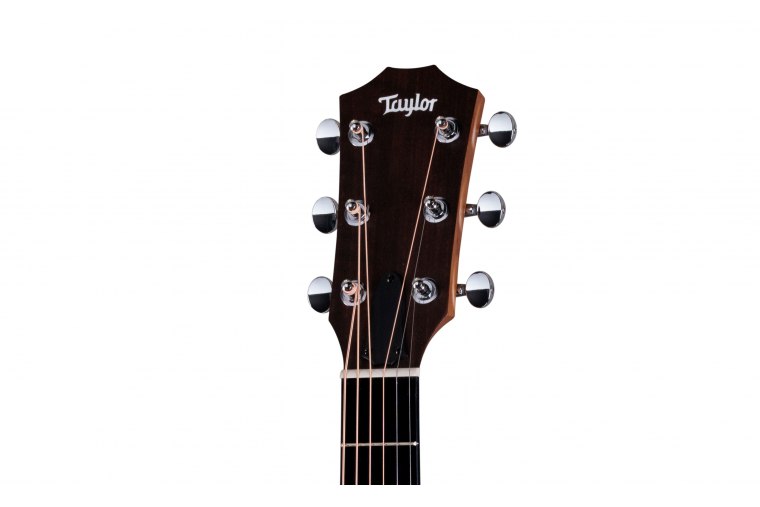 Taylor 24ce