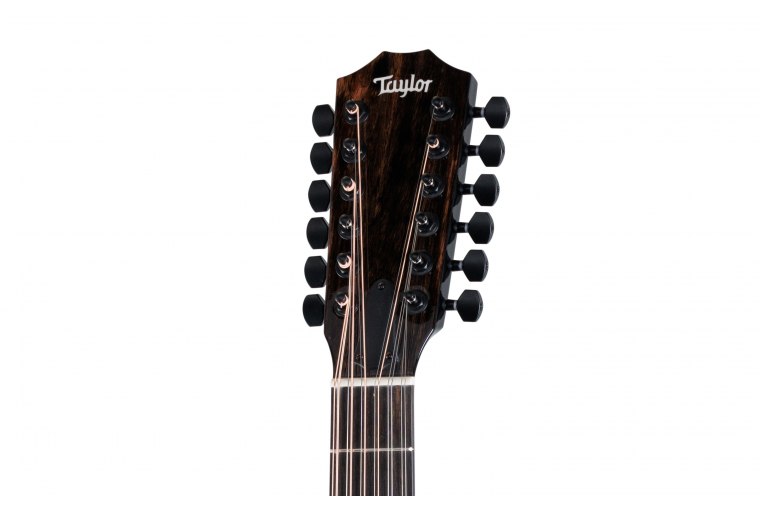 Taylor 250ce-BLK Plus