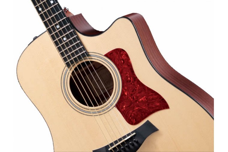 Taylor 310ce