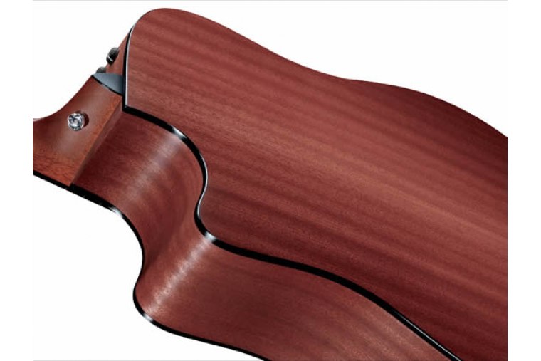 Taylor 310ce