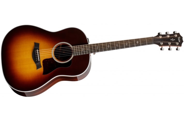 Taylor 417e-R - TS