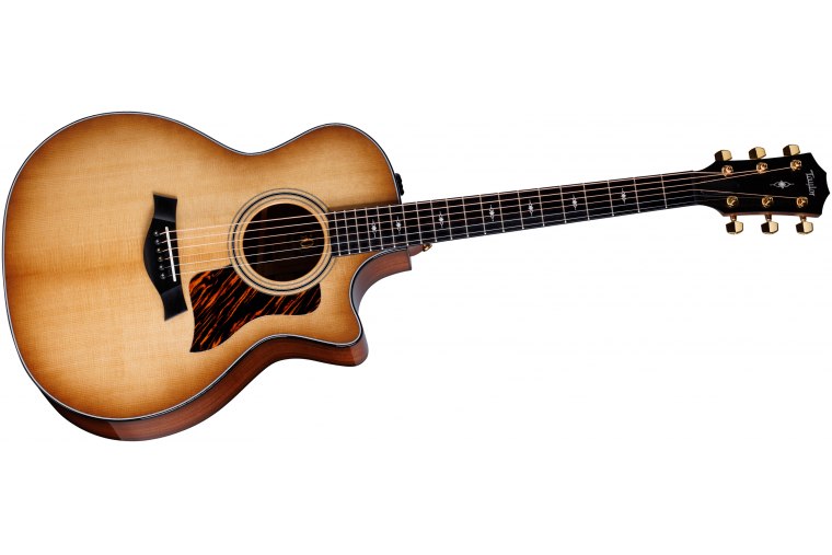 Taylor 50th Anniversary 314ce