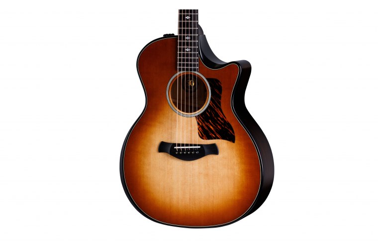 Taylor 50th Anniversary Builder's Edition 314ce - KB