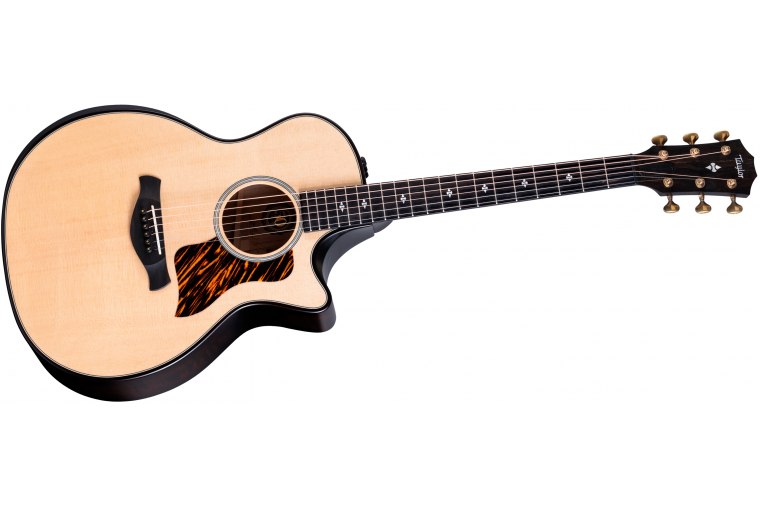 Taylor 50th Anniversary Builder's Edition 314ce - NA