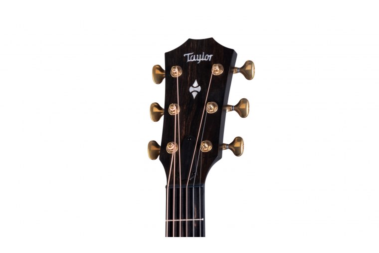 Taylor 50th Anniversary Builder's Edition 314ce - NA