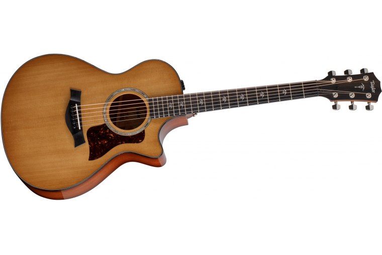 Taylor 512ce Urban Ironbark