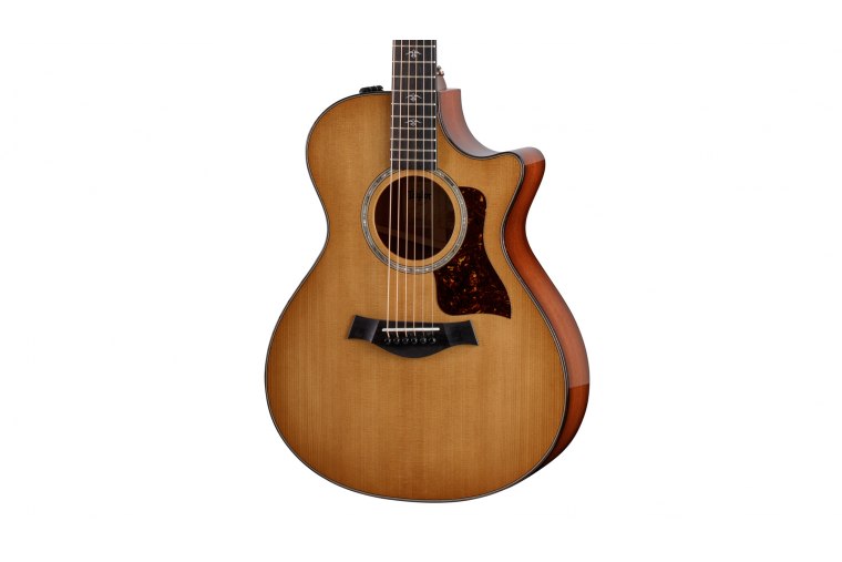 Taylor 512ce Urban Ironbark