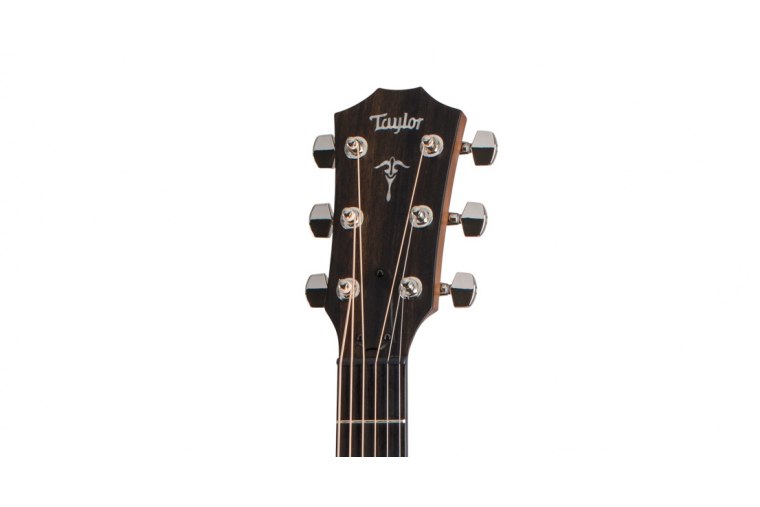 Taylor 512ce Urban Ironbark