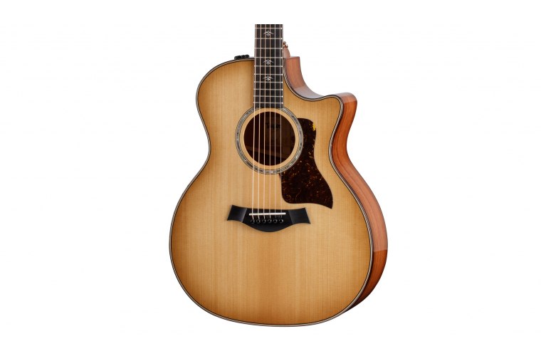 Taylor 514ce Urban Ironbark