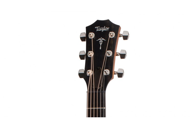 Taylor 514ce Urban Ironbark