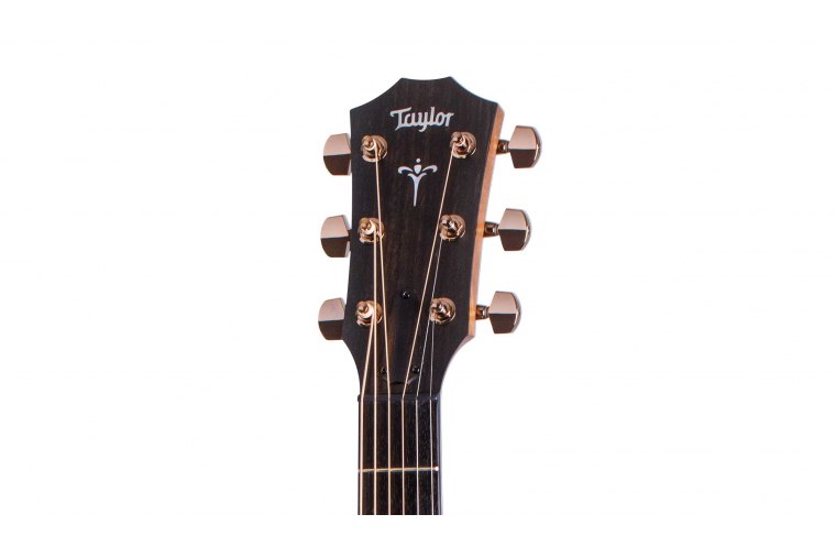 Taylor 724ce