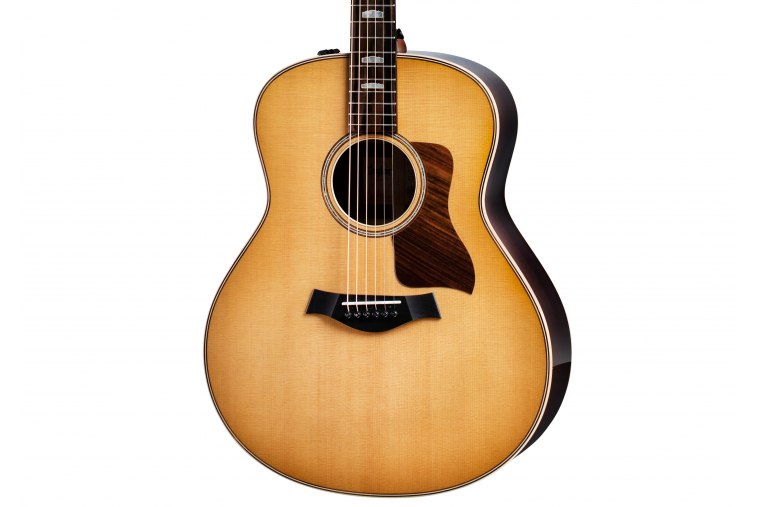 Taylor 818e