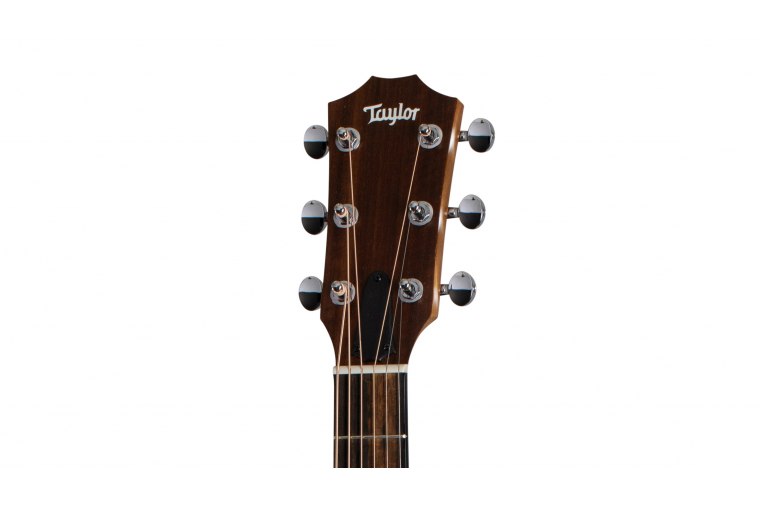 Taylor Baby BBTe Walnut